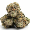 Apple Fritter Weed