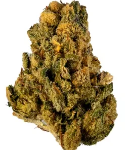 Dog walker OG