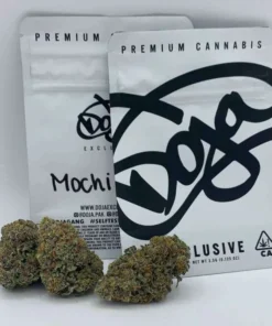 Kaufen Sie Doja Mochi Sorteninformationen Mochi, auch bekannt als „ Gelato 47 “ und „Mochi Gelato“, ist eine hybride Cannabissorte, die Kreativität fördert und Schmerzen lindert. Diese Sorte ist das Ergebnis einer Kreuzung aus Sunset Sherbet und Thin Mint Girl Scout Cookies. Mochi fällt durch seine dichten und schönen Blüten auf, die eine frostige Mischung aus Lila, Jade und leuchtendem Rot aufweisen. doja-mochi THC und CBD Mochi ist eine THC-dominante Sorte mit typischerweise hohen Werten, die starke psychoaktive Wirkungen hervorrufen können, während der CBD-Gehalt relativ niedrig bleibt. Wirkung, Aroma und Geschmack der Sorte Wirkung Die Wirkung von Mochi ist in erster Linie entspannend, verursacht aber auch Schläfrigkeit und steigert den Appetit. Einige Benutzer berichten jedoch auch von Angstgefühlen oder Paranoia sowie trockenen Augen als Nebeneffekte. Aroma Mochi verströmt ein betörendes Aroma mit Noten von Minze und Vanille, angereichert mit einer allgegenwärtigen Süße, wodurch ein angenehmes und komplexes Geruchserlebnis entsteht. Erleichterung Diese Sorte wird oft wegen ihrer Wirksamkeit gegen Angstzustände, Schlaflosigkeit und Stress gesucht und verschafft ihren Anwendern spürbare Linderung. Geschmack Das Geschmacksprofil von Mochi wird von Noten von Minze und Vanille mit einem Hauch von Süße dominiert und macht jeden Zug zu einem exquisiten Geschmackserlebnis. Warum Mochi von Cannabis420 kaufen? Cannabis420 ist dafür bekannt, Cannabisprodukte höchster Qualität anzubieten. Wenn Sie sich für Mochi von Cannabis420 entscheiden, erhalten Sie garantiert eine reine Sorte, die unter optimalen Bedingungen angebaut wird, um ihre Wirksamkeit und Effektivität sicherzustellen. Medizinische Auswirkungen Dank seiner entspannenden und beruhigenden Eigenschaften ist Mochi besonders wirksam bei der Behandlung von Zuständen wie Angstzuständen, Schlaflosigkeit und Stress. Wie raucht man Cannabis? Mochi kann auf verschiedene Weise konsumiert werden, unter anderem in Joints, Bongs oder durch Verdampfen für ein sanfteres Erlebnis und stärkere Wirkung. Was die Leute über die Sorte Mochi sagen „Hilft mir, nach einem langen Tag zu entspannen.“ „Perfekt zur Bekämpfung von Schlaflosigkeit. » „Steigert den Appetit, ideal für alle, die ihre Ernährung anregen müssen.“ „Kann bei Verzehr großer Mengen Angstzustände verursachen.“ „Die Minz- und Vanillearomen sind sehr angenehm.“ Wo kann man in der EU Cannabis online kaufen? Um Mochi und andere Premiumsorten zu erwerben, besuchen Sie unsere 420coffeeshop -Site. Wir bieten eine vielfältige Auswahl an Premium-Cannabis mit sicherer und diskreter Lieferung in ganz Europa. Wie lagert man Cannabis? Um die Frische und Wirksamkeit von Mochi zu bewahren, lagern Sie es in einem luftdichten Behälter geschützt vor Licht und Feuchtigkeit an einem kühlen, dunklen Ort. Regierungsgesetz für den Verkauf von Cannabis in Europa Der Verkauf von Cannabis ist in Europa reguliert und variiert je nach Land. Es ist wichtig, die lokalen Gesetze in Bezug auf den Verkauf und Konsum von Cannabis einzuhalten, sei es für medizinische oder Freizeitzwecke. Informieren Sie sich vor dem Kauf unbedingt über die Vorschriften in Ihrer Region.