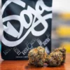 Kaufen Sie Doja Rs11 Sorteninformationen Produktion Die Sorte RS11, auch bekannt als „RS-11“ und „Rainbow Sherbert #11“, ist eine von Deo Farms entwickelte Hybride. Diese Sorte ist das Ergebnis der Kreuzung von OZ Kush Project Pink Guava mit Sunset Sherbert. RS11 wurde von Wizard Trees aus Los Angeles gezüchtet und wird heute von vielen Züchtern in den Vereinigten Staaten angebaut. Art RS11 ist eine Hybridsorte, die eine perfekte Balance zwischen Entspannung und Energie bietet. Sie ist besonders für ihre beruhigende Wirkung bekannt, die den Geist wach hält. THC und CBD RS11 hat einen hohen THC-Gehalt, normalerweise zwischen 20 % und 25 %, und einen niedrigen CBD-Anteil, was es zu einer potenten Sorte für Benutzer macht, die eine intensive Wirkung suchen. Wirkung, Aroma und Geschmack der Sorte Wirkung RS11-Benutzer berichten von Gefühlen der Ruhe und Sedierung, während sie geistig wach bleiben. Zu den Wirkungen gehören ein Gefühl der Entspannung, Geselligkeit und Konzentration. Einige können jedoch Kopfschmerzen, trockene Augen oder Schwindelgefühle verspüren. Aroma Das Aroma von RS11 ist besonders fruchtig mit Noten von sauren Zitrusfrüchten. Der Rauch ist sanft und hinterlässt ein süßes und würziges Aroma, das lange anhält. Erleichterung Laut Patienten, die medizinisches Cannabis verwenden, ist RS11 bei der Linderung von Angstzuständen, Depressionen und leichten Schmerzen wirksam. Geschmack Das Geschmacksprofil von RS11 ist sehr fruchtig mit einem Hauch von Pfirsich, Zitrus und tropischen Noten und sorgt für ein angenehmes und erfrischendes Trinkerlebnis. Warum Doja Rs11 von 420coffeeshop kaufen? Wenn Sie Doja Rs11 bei Cannabis420 kaufen, ist Ihnen Premiumqualität garantiert, da es unter optimalen Bedingungen angebaut wird, um das bestmögliche Erlebnis zu gewährleisten. Unsere Produkte werden auf Reinheit und Wirksamkeit getestet und zugelassen. Medizinische Auswirkungen Doja Rs11 ist besonders nützlich zur Behandlung von Angstzuständen, Depressionen und Schmerzen und bietet medizinischen Cannabiskonsumenten eine wirksame und schnelle Linderung. Wie raucht man Cannabis? Doja Rs11 kann auf verschiedene Arten konsumiert werden, unter anderem in Joints, Bongs oder durch Verdampfen. Das Verdampfen wird für diejenigen empfohlen, die ein reineres und weniger reizendes Erlebnis in der Lunge suchen. Was die Leute über die Sorte Doja Rs11 sagen ( Bewertung der Sorte Doja RS11) „Sorgt für tiefe Entspannung und hält den Geist klar.“ „Perfekt für gesellige Abende, sehr gesellig. » „Die tropischen Fruchtaromen sind unglaublich.“ „Hilft mir wirksam, meine Ängste zu lindern . » „Kann bei Verzehr in großen Mengen Kopfschmerzen verursachen.“ Wo kann man Doja Rs11 online in Deutschland kaufen? Um Doja Rs11 und andere hochwertige Sorten zu bestellen, besuchen Sie Cannabis420.fr. Wir bieten ein sicheres Online-Einkaufserlebnis, das den französischen Vorschriften entspricht. Wie ist Doja Rs11 aufzubewahren? Um die Frische und Wirksamkeit von Doja Rs11 zu bewahren, lagern Sie es in einem luftdichten Behälter geschützt vor Licht und Feuchtigkeit an einem kühlen Ort. Gesetzgebung zum Verkauf von Doja Rs11 in Europa 420coffeeshop hält sich strikt an die europäischen Gesetze zum Verkauf von Cannabis und stellt die Einhaltung der lokalen Bestimmungen in jedem EU-Mitgliedsland sicher. doja rs11 seeds Doja RS11 Preis Der Preis von „Doja RS11“, einer beliebten Cannabissorte, kann je nach Faktoren wie Standort, Apotheke und Qualität variieren. Im Allgemeinen kann der Preis zwischen 50 und 100 pro Achtel (3,5 Gramm) liegen. Für genaue Preise erkundigen Sie sich am besten bei örtlichen Apotheken oder Online-Händlern.