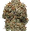 Great Glue Weed