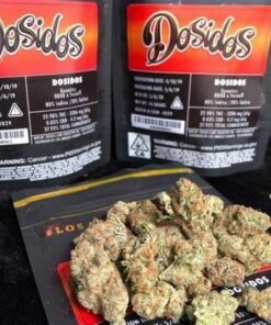 Jungleboys Doses