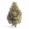 Tropical Runtz Weed