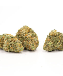 White Fire OG Weed