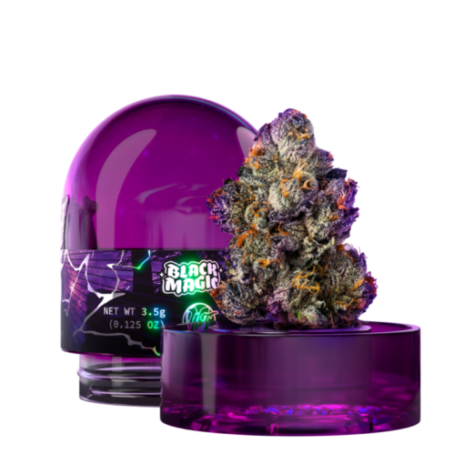 Wizard Trees: Black Magic