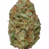 Bubble gum weed