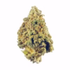 Cheese Weed