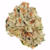 Devils Lettuce Weed